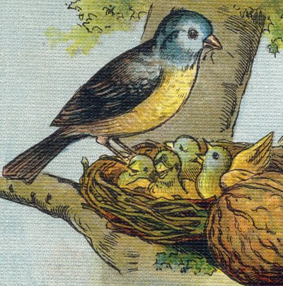 En fugl mater ungene sine i et reir. Gravering i "Alphabet de ma petite fille". Bernardin-Bechet og Fils, bokhandler-forlag, Paris, rundt 1895. Ubrytelig album på lerret. Bibliotheque des babes. 12 sider. Album som inneholder en lesemetode og en  av Unbekannt