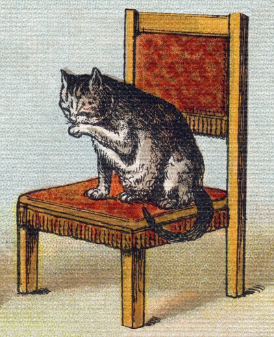 En katt på en stol. Gravering i "Alphabet de ma petite fille". Bernardin-Bechet og Fils, bokhandler-forlag, Paris, rundt 1895. Ubrytelig album på lerret. Bibliotheque des Bebes. 12 sider. Album som inneholder en lesemetode og en illustrativ abeceda av Unbekannt