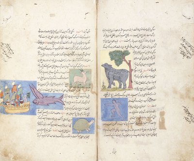 En side fra det persiske manuskriptet "Aja" ib al-Makhluqat wa Ghara "ib al-Maujudat av Unbekannt