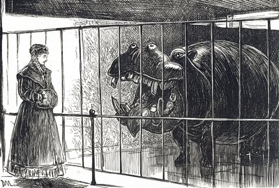 En kvinne i Regent#39;s Park Zoological Societys hager. av Unbekannter Künstler