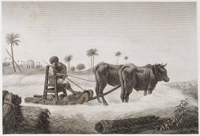 Åkerbruk, innhøstingstreskemaskin, Egypt, ca 1798 av Unbekannt