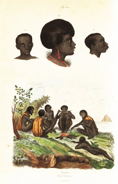 Australske aboriginer og overhoder for innfødte i Waigeo, Vest-Papua1834-1839 (gravering) av Unbekannter Künstler