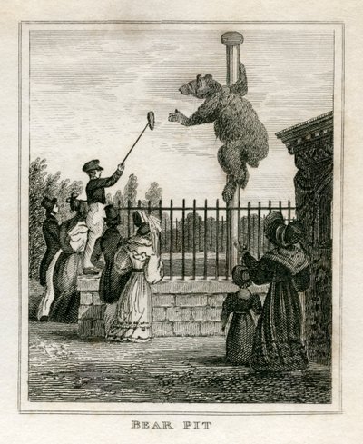 Bear pit - Regent's Park zoo av Unbekannt