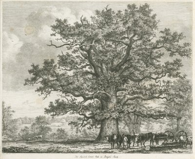 Blithfield - Squich-bank Oak: etsning, 1824 av Unbekannt