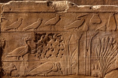 Botanisk hage Thutmosis III med relieffavbildninger av planter og dyr, Karnak-tempelet, Luxor, Theben, Egypt, Afrika (bilde) av Unbekannter Künstler
