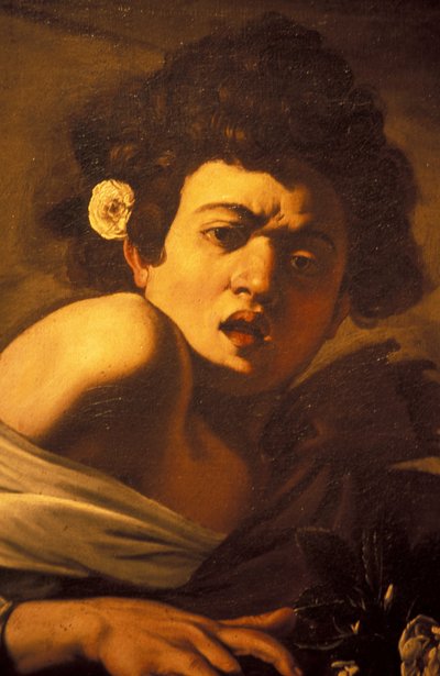 Gutt bitt av en øgle (detalj), Caravaggio kunstverk, Palazzo Ducale, Genova, Liguria, Italia av Unbekannt