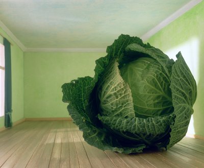 Kål (etter Magritte) av Unbekannter Künstler