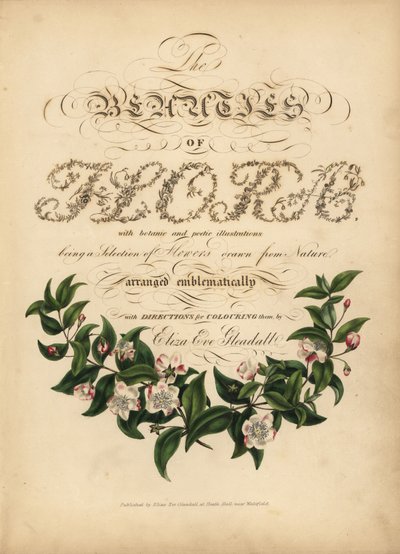 Kalligraphische Titelseite mit botanischer Vignette von Unbekannt