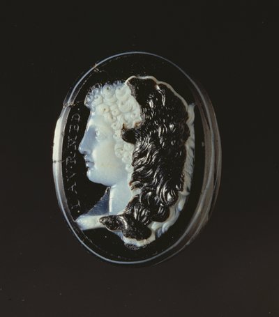 Cameo av hodet til Hercules av Unbekannt