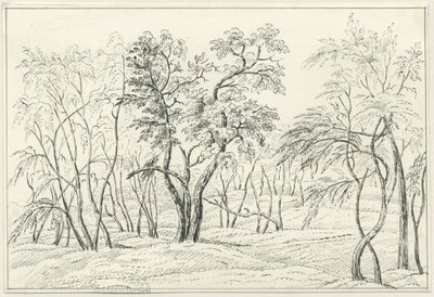 Cannock Chase: penn- og blyanttegning, nd [?1800-tallet] av Unbekannt