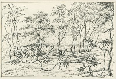 Cannock Chase: penn- og blyanttegning, nd [?1800-tallet] av Unbekannt