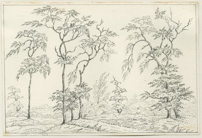 Cannock Chase: penn- og blyanttegning, nd [?1800-tallet] av Unbekannt