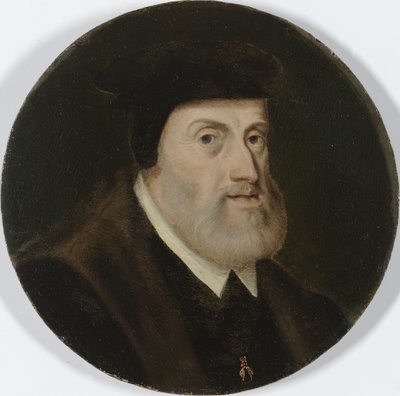 Charles V, den hellige romerske keiseren, ca. 1550 (olje på panel) av Unbekannt