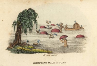 Kinesiske menn som jakter ville ender med lokkegresskarhatter i elven, Qing-dynastiet. Håndkolorert kobberstikk av Andrea Freschi etter Antoine Cardon fra Henri-Leonard-Jean-Baptiste Bertin og Jean Baptiste Joseph Bretons Kina, dets kostymer, kunst,  av Unbekannter Künstler