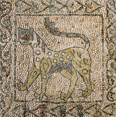 Church of Saint John Evangelist, Fourth Crusade, Fragmenter av mosaikkgulv som representerer flekket panter, Ravenna, Emilia-Romagna, Italia av William M. Timlin