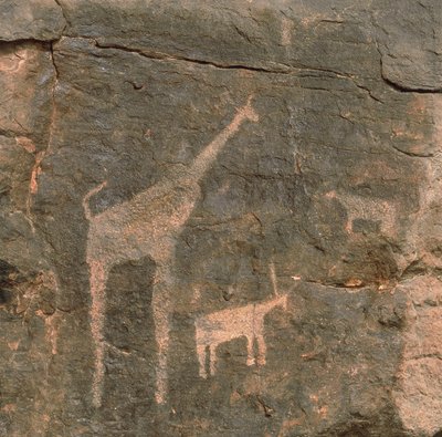 Nærbilde av forhistoriske malerier, Tenere-ørkenen, Niger av Benjamin Baud