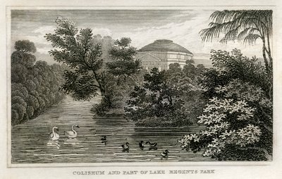 Colosseum og innsjø, Regent's Park av Unbekannt