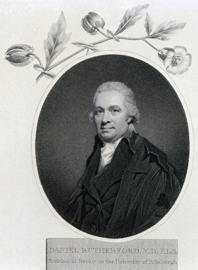 Daniel Rutherford, skotsk kjemiker og botaniker, tidlig på 1800-tallet av Unbekannt