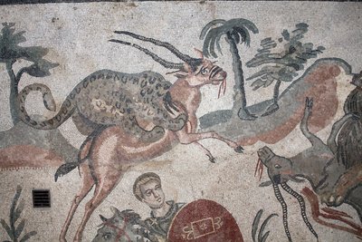 Detalj av den store jaktmosaikken. En leopard som angriper en gaselle. 3. - 4. århundre. Roman Villa of the Casale, Sicilia. UNESCO nettsted. av William M. Timlin