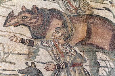 Detalj av den store jaktmosaikken. Et neshorn blir ført opp i en båt for å fraktes til nærmeste havn. 3. - 4. århundre. Roman Villa of the Casale, Sicilia. UNESCO nettsted. av William M. Timlin