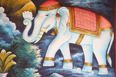 Hengiven elefant. Siem Reap Kambodsja av Unbekannt