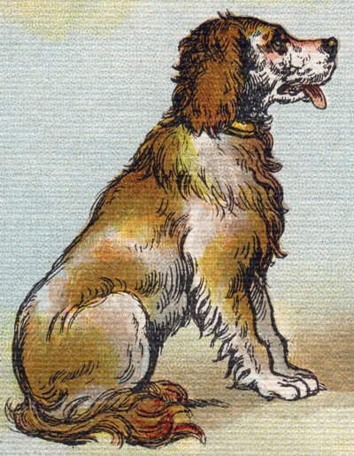 Hund. Gravering i "Alphabet de ma petite fille". Bernardin-Bechet og Fils, bokhandler-forlag, Paris, rundt 1895. Ubrytelig album på lerret. Bibliotheque des Bebes. 12 sider. Album som inneholder en lesemetode og et illustrerende abecedary. Dimens av Unbekannt