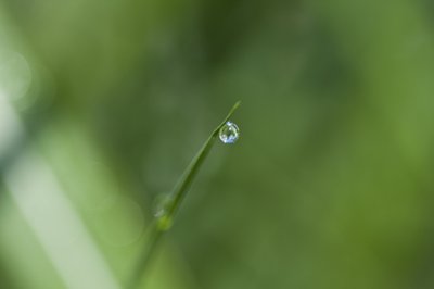 Dråpe (fotografi) av Unbekannter Künstler