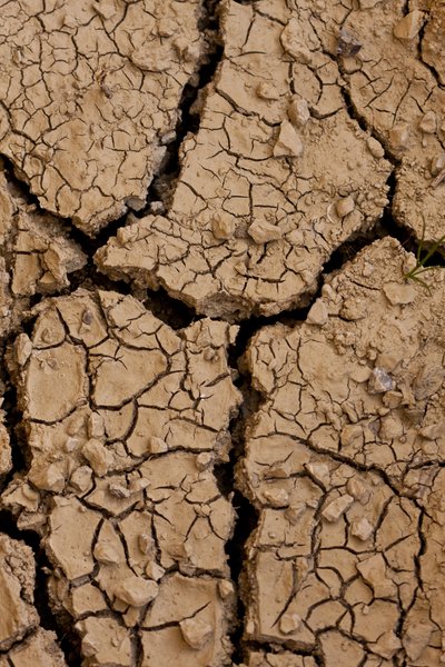 Dry II (bilde) av Unbekannter Künstler