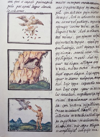 Eagles, side fra Florentine Codex, tospråklig versjon på spansk og Nahuatl, General History of the Things of New Spain av den spanske misjonæren Fray Bernardino de Sahagun (1499-1590). Aztekisk sivilisasjon av William M. Timlin