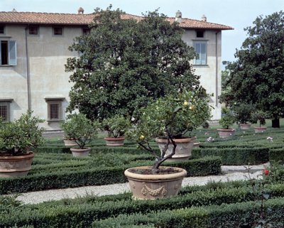 Utvendig utsikt over villaen Medicea di Castello og hagen (bilde) av Unbekannt