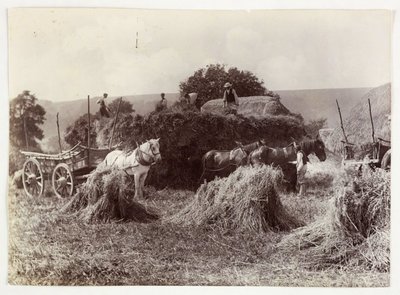 Oppdrettsscener, høsting og lagring, høsting før 1900, ca 1890 av Unbekannt