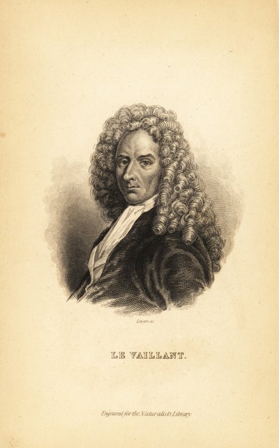 Francois le Vaillant eller Levaillant, fransk forfatter, oppdagelsesreisende, naturforsker og ornitolog av Unbekannt