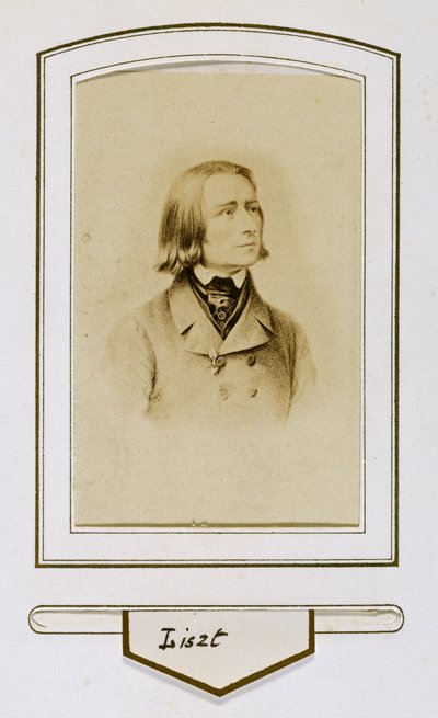 Franz Liszt da han var ung av Unbekannter Künstler