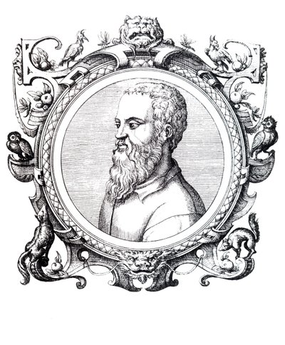 Guillaume Rondelet. av Unbekannt