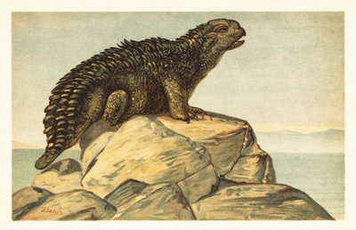 Hylaeosaurus armatus , utdødd planteetende ankylosaurisk dinosaur 1908 (litografi) av Unbekannter Künstler