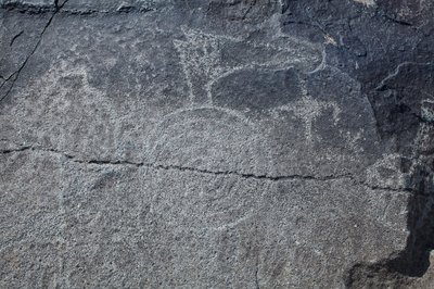Indiske helleristninger - Dyre- og symbolsk representasjon - Petroglyph National Monument - Albuquerque, New Mexico, USA (USA) av William M. Timlin