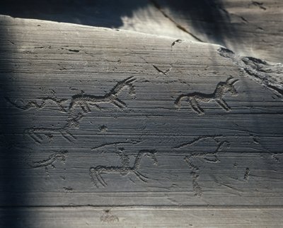 Italia, Lombardia, camonica-dalen, helleristninger på stein av Benjamin Baud