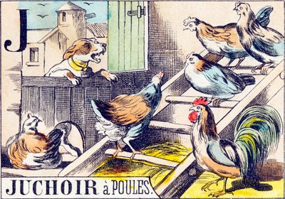 J Juchoir a poules - "Alfabetet til gården" slutten av 1800-tallet (gravering) av Unbekannt