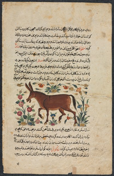 Annet (funnet), fra en nezhantami-besetning (utmerket bok om vi kommer) fra Shahmarda Ibn Abi al-Khair av Unbekannt