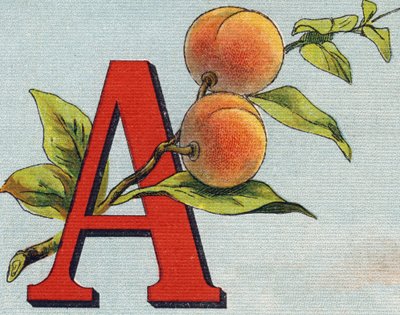 Bokstav A: aprikos. Gravering i "Alphabet de ma petite fille". Bernardin-Bechet og Fils, bokhandler-forlag, Paris, rundt 1895. Ubrytelig album på lerret. Bibliotheque des Bebes. 12 sider. Album som inneholder en lesemetode og en illustrativ abece av Unbekannt