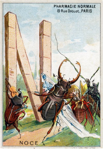 Bokstav N som bryllup. Mr. Mariniers kunstneriske alfabet. Redigert av Henry Sicard, sent på 1800-tallet. Reklamekromolitografier for produkter som selges i apotek. Mål: 12,5 x 9 cm av Unbekannt
