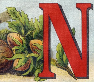 Bokstav N: hasselnøtter. Gravering i "Alphabet de ma petite fille". Bernardin-Bechet og Fils, bokhandler-forlag, Paris, rundt 1895. Ubrytelig album på lerret. Bibliotheque des Bebes. 12 sider. Album som inneholder en lesemetode og en illustrerend av Unbekannt