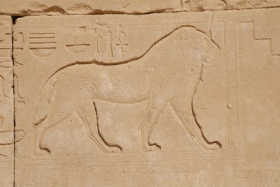Løveutskjæring, Karnak, Luxor, Egypt (bilde) av Unbekannt