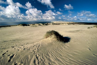 Litauen, Klaipeda, Curonian Spit, Nida, bevegelige sanddyner kalt prøyssisk Sahara av William M. Timlin
