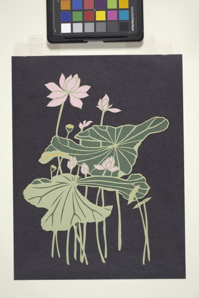 Lotus (flerfarget kuttet papir) av Unbekannter Künstler