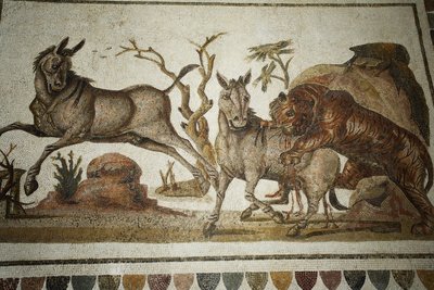Mosaikk av dyrekamp: tiger som angriper to natt-primagre. II s AD/Musee d