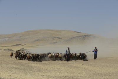 Nomadetelt mellom Tamar og Ashkhaneh, Iran 2022 (fotografi) av Unbekannter Künstler