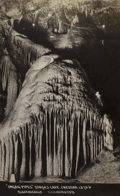 Orgelpiper, Goughs Cave, Cheddar (s/hvitt-bilde) av Unbekannt