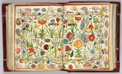 Sider fra albumet Amicorum av Philipp Hainhofer, 1596-1633 av Unbekannt