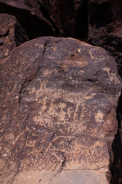 Petroglyphs som viser dyr og karakterer - Petroglyph National Monument - Albuquerque, New Mexico, USA (USA) av William M. Timlin